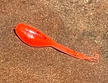 Load image into Gallery viewer, 1.25 Inch Mini Fluke Shad - 20 PK