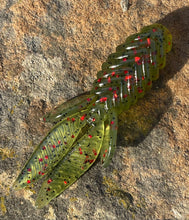 Load image into Gallery viewer, 2.8 Inch Beetle Bug - 12 PK