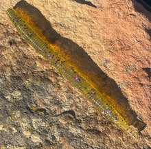 Load image into Gallery viewer, 5 Inch Stick Worm - 6 PK