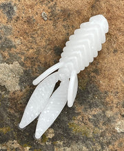 Load image into Gallery viewer, 2.8 Inch Beetle Bug - 12 PK